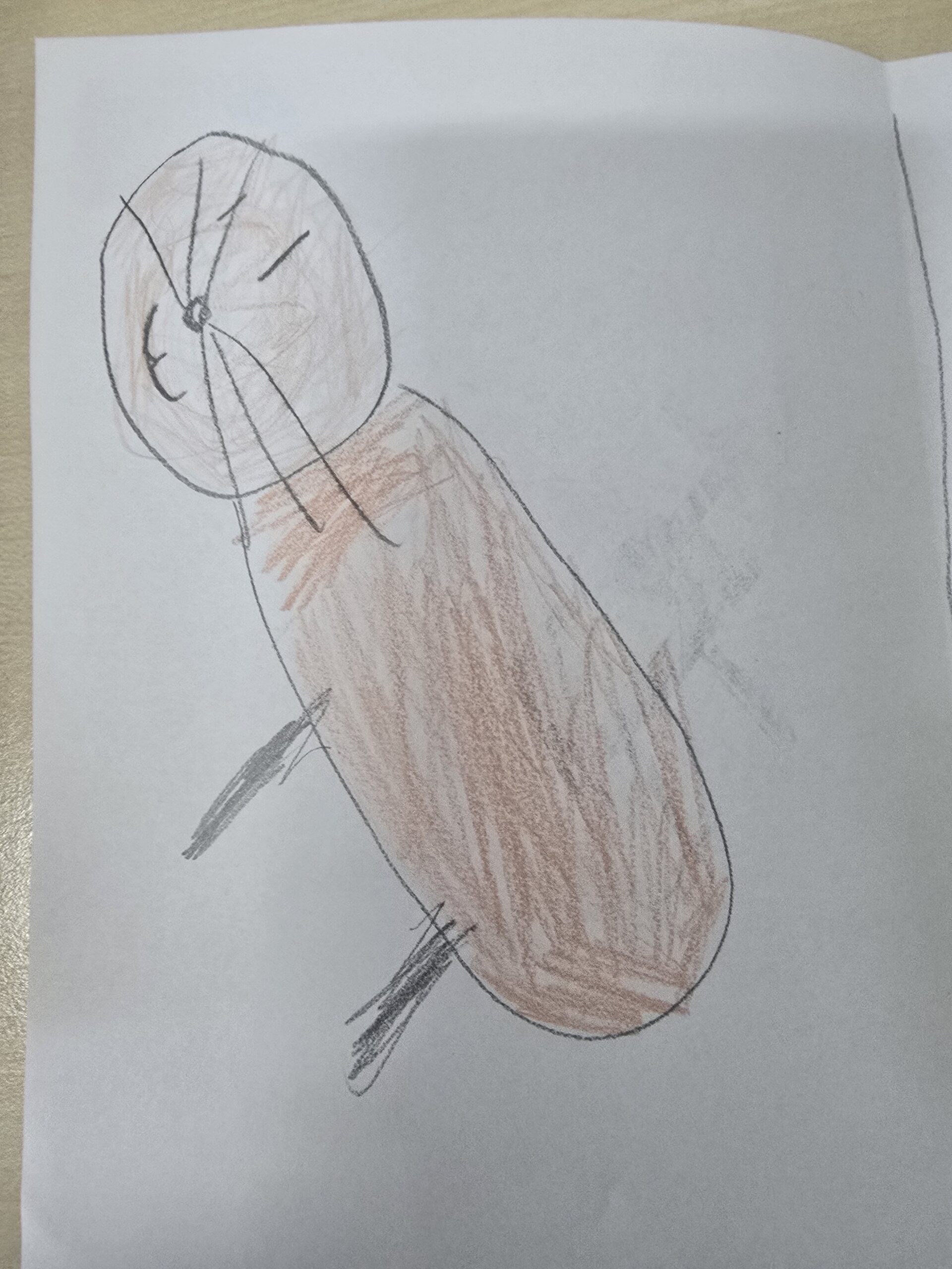 Ilustracja z bajki Lis i przyjaciele w wielkim świecie