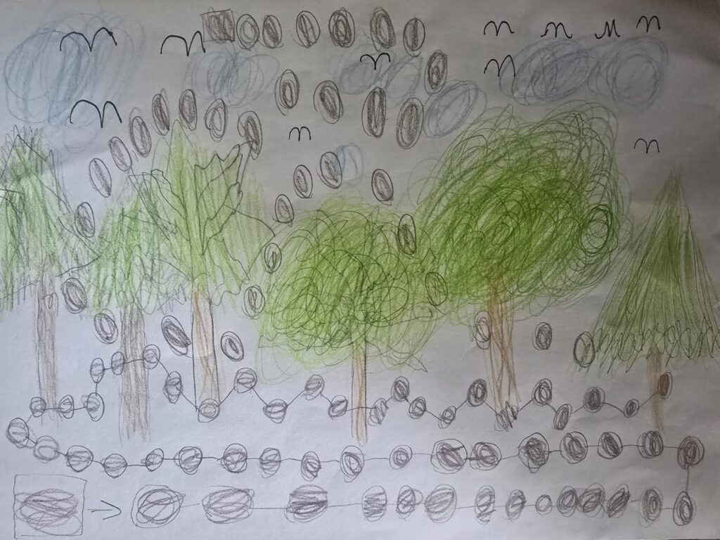 Las pełen kółek i tropów